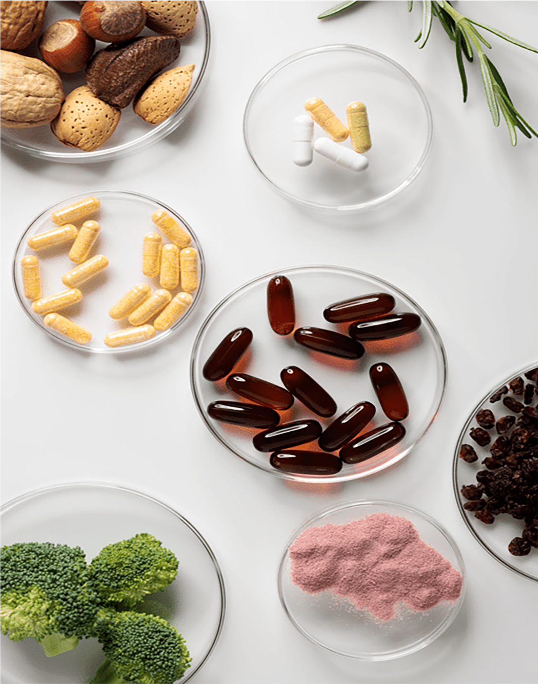 supplement image 2